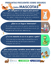seguro mascotas